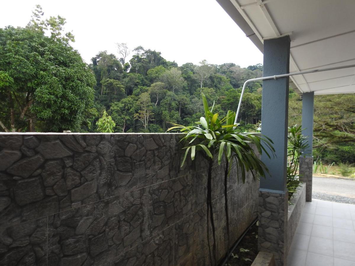 Tebing Guest House Taman Negara Malaysia Куала-Тахан Экстерьер фото
